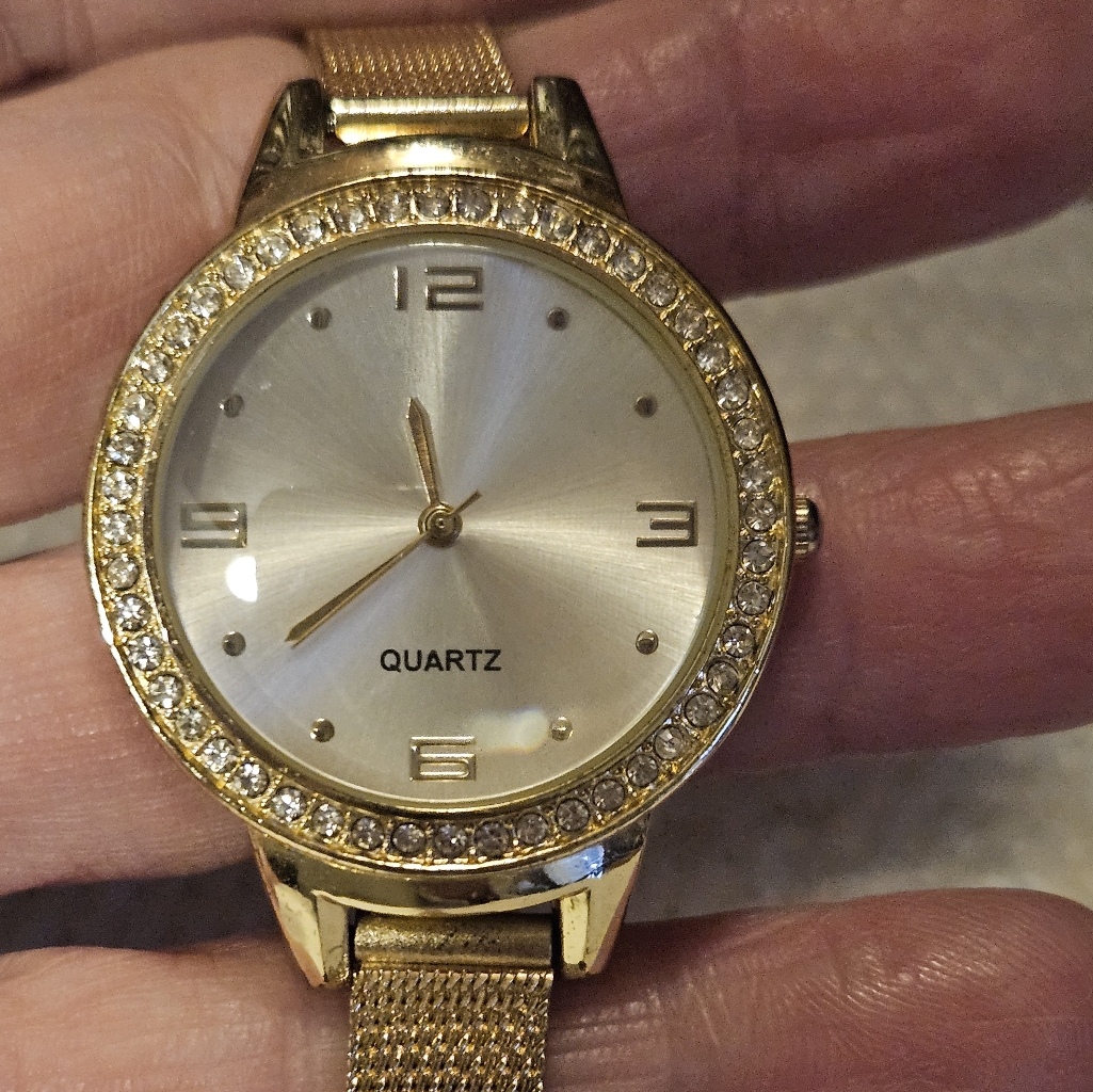 Accutime Gold Mesh Band Watch